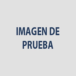 Diseño y Modelado BIM con Revit Arquitectura